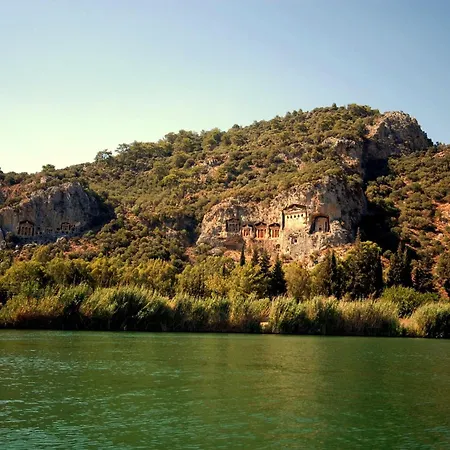 Happy Caretta داليان