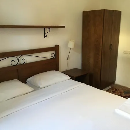 Happy Caretta 达利安