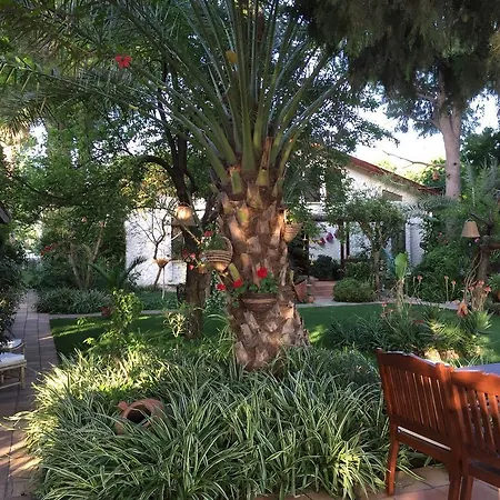 Happy Caretta 招待所