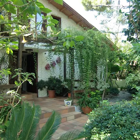 Happy Caretta 3* 达利安