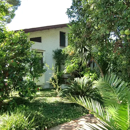 招待所 Happy Caretta 达利安