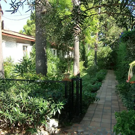 Happy Caretta 3* داليان