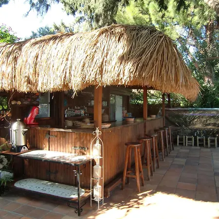 Happy Caretta 达利安