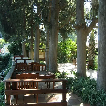 Happy Caretta 3* 达利安