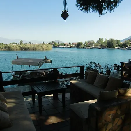 Happy Caretta 达利安