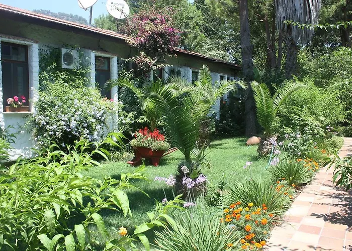 Happy Caretta Dalyan