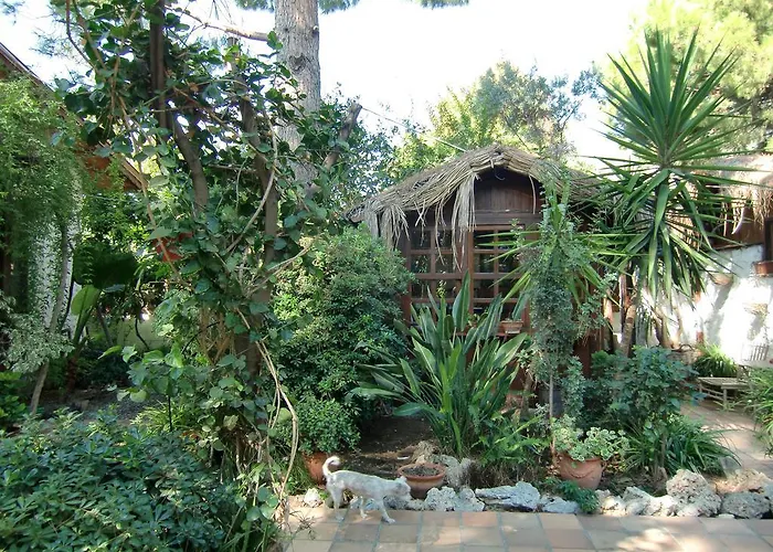 Happy Caretta Penzion