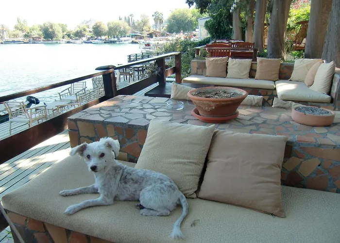 Happy Caretta 3* Dalyan