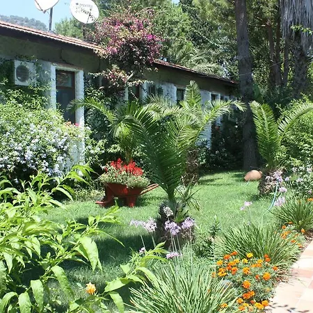 Happy Caretta Dalyan