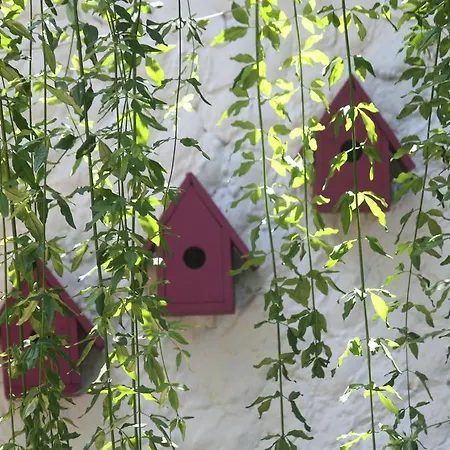 Happy Caretta Penzion Dalyan