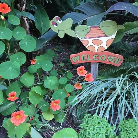 Happy Caretta Dalyan