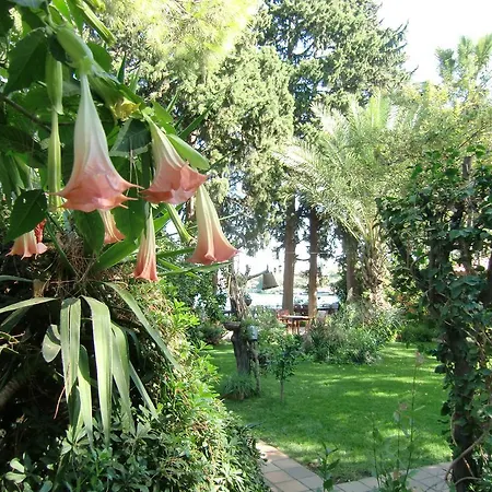 Happy Caretta Pensiune