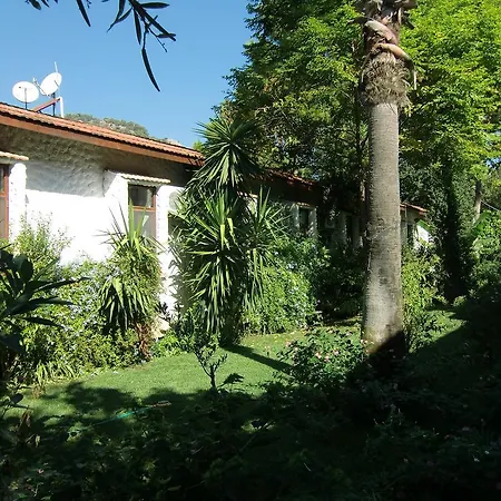 Happy Caretta ゲストハウス ダルヤン