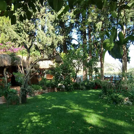 Happy Caretta Dalyan