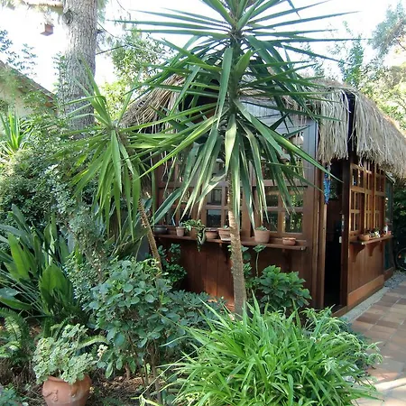 Happy Caretta ゲストハウス ダルヤン