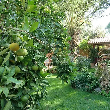 Happy Caretta ゲストハウス