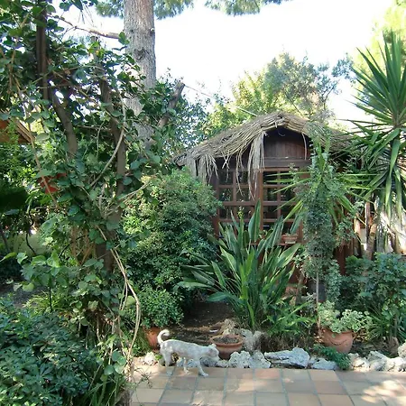 Happy Caretta ゲストハウス