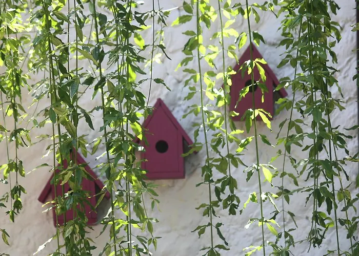 Happy Caretta Gasthuis Dalyan