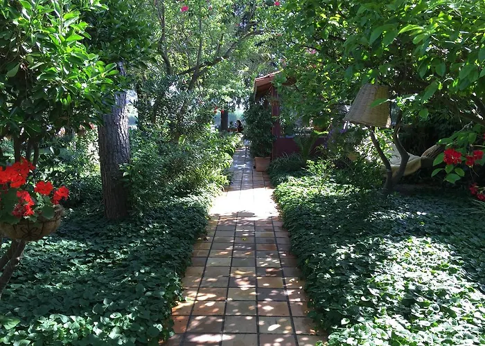 Gasthuis Happy Caretta Dalyan