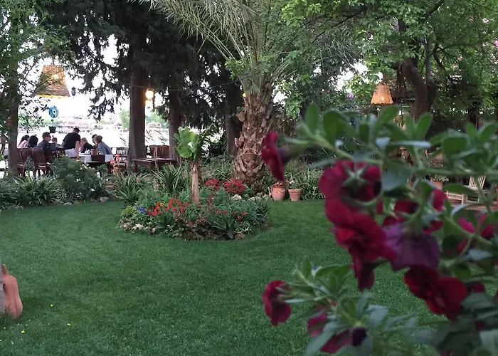 Happy Caretta Gasthuis