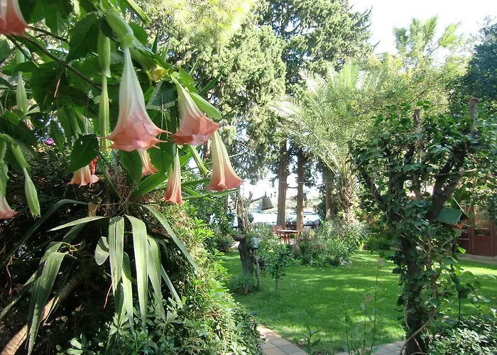 Happy Caretta Gasthuis