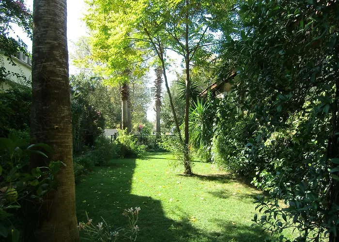 Happy Caretta Dalyan