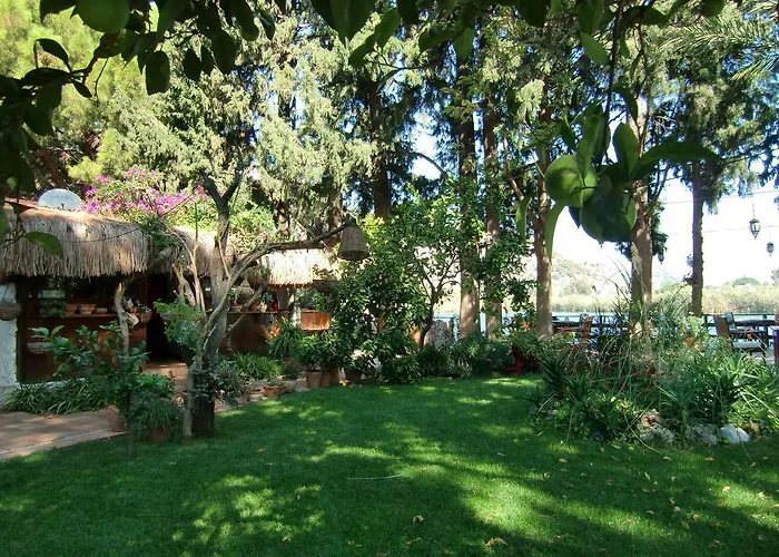 Happy Caretta Dalyan