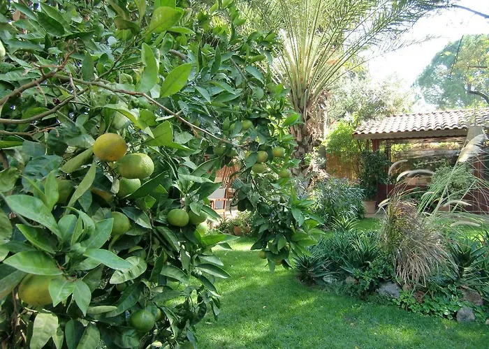 Happy Caretta Gasthuis