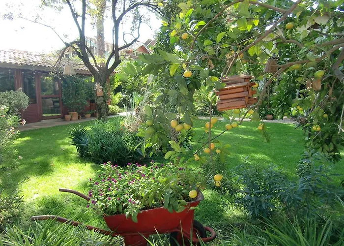 Happy Caretta Dalyan