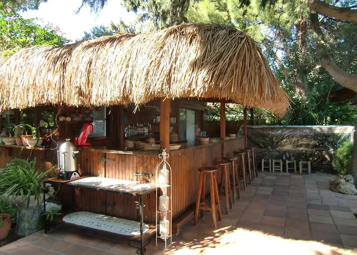 Happy Caretta Dalyan