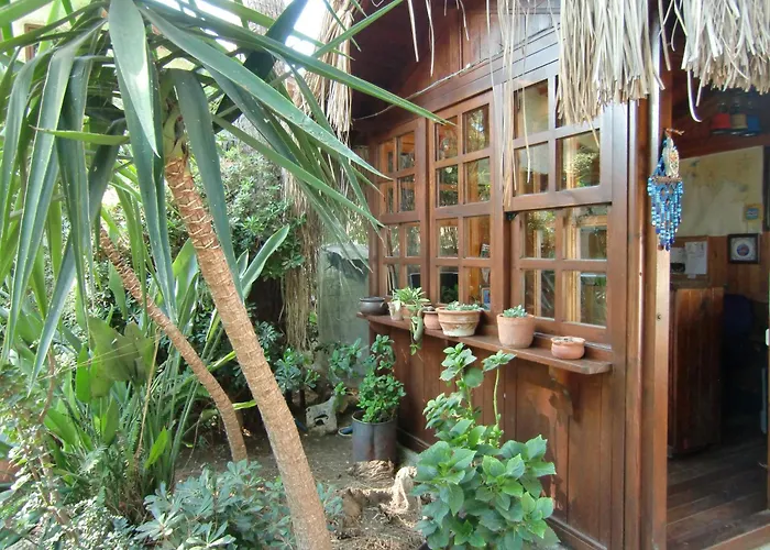 Gasthuis Happy Caretta 3*