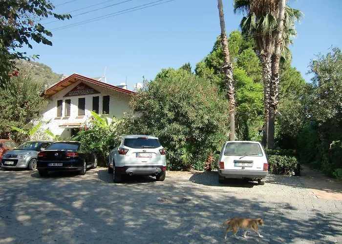 Gasthuis Happy Caretta